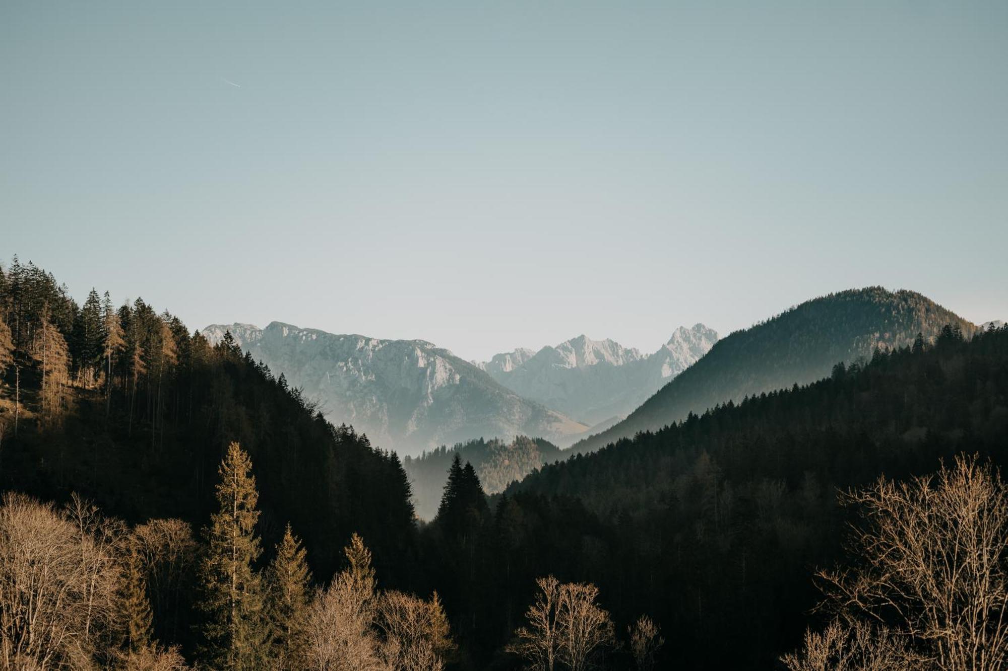 Feuriger Tatzlwurm Hotel Bayrischzell Buitenkant foto